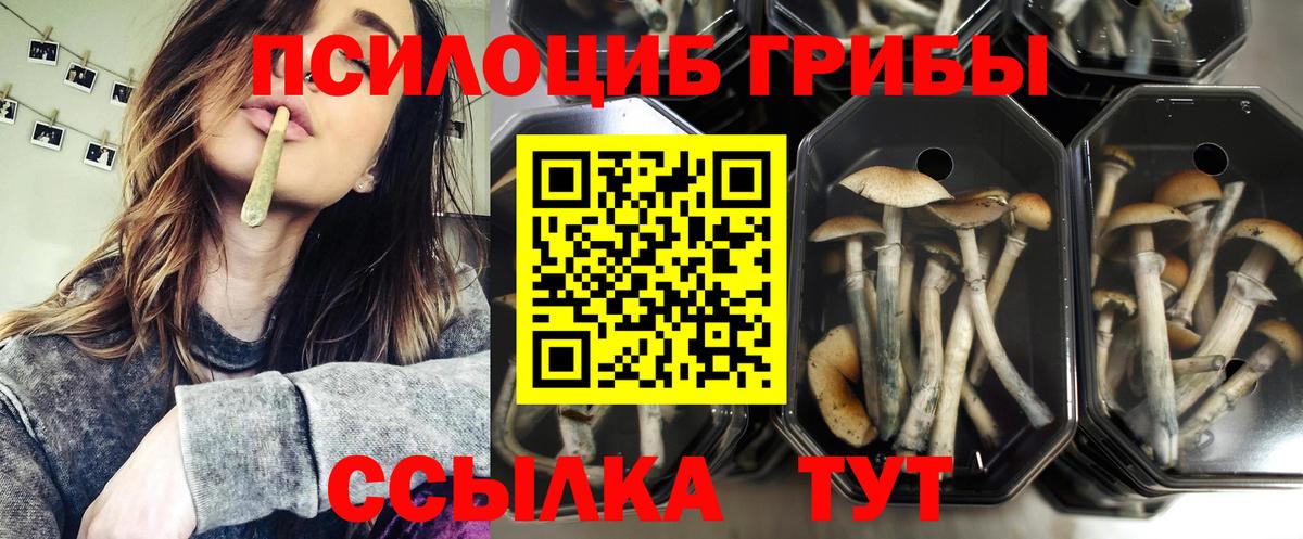 Псилоцибиновые грибы MAGIC MUSHROOMS Новокузнецк