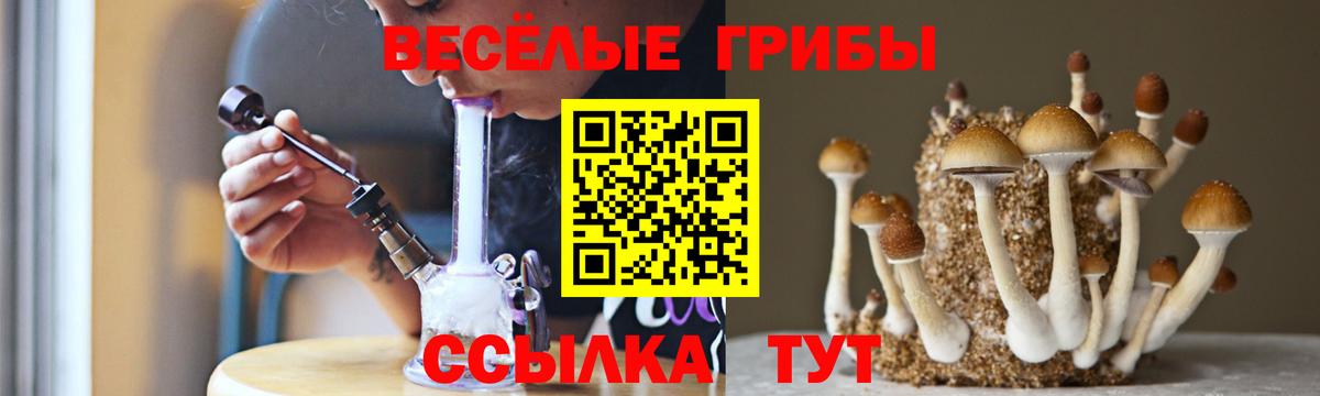 Новокузнецк  Псилоцибиновые грибы Psilocybine cubensis  Вход с VPN 